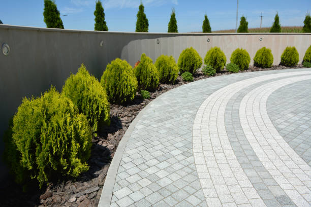 Best Custom Driveway Pavers  in Mclouth, KS